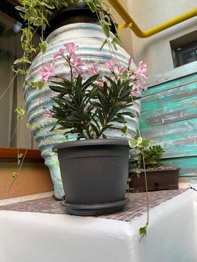 Năvodari Arcadia Apartament Mamaia Nord מראה חיצוני תמונה