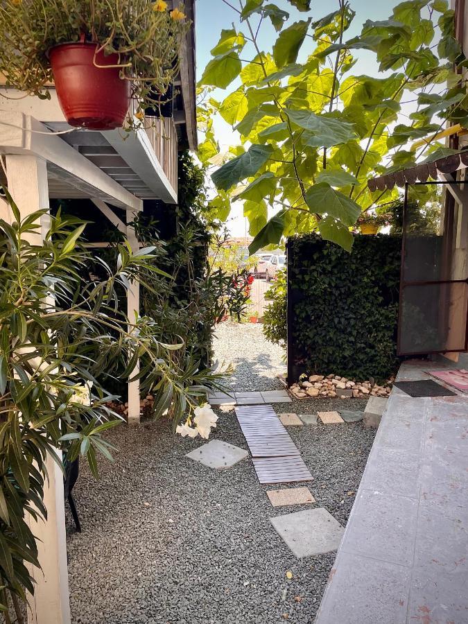 Năvodari Arcadia Apartament Mamaia Nord מראה חיצוני תמונה